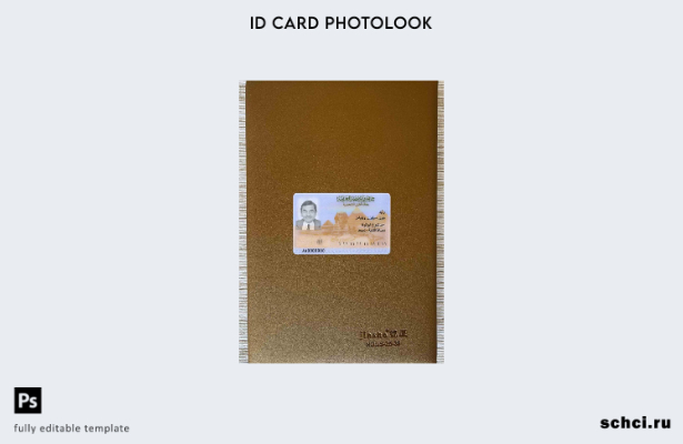 цифровая загрузка шаблона ID Photolook для Египта ПЕРЕДНЯЯ сторона